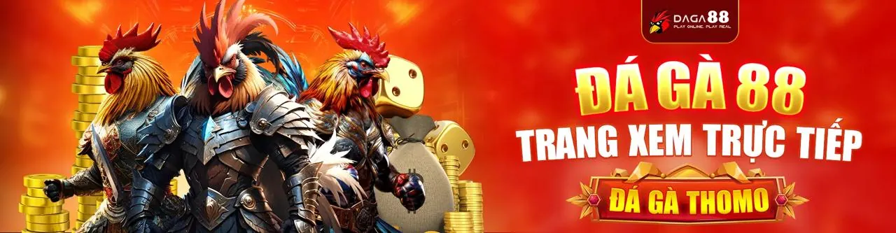 Đá Gà hi8 app: Trận đấu gà kịch tính tại sàn đấu lớn